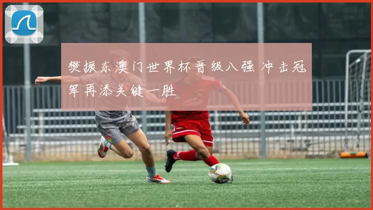 樊振东澳门世界杯晋级八强 冲击冠军再添关键一胜