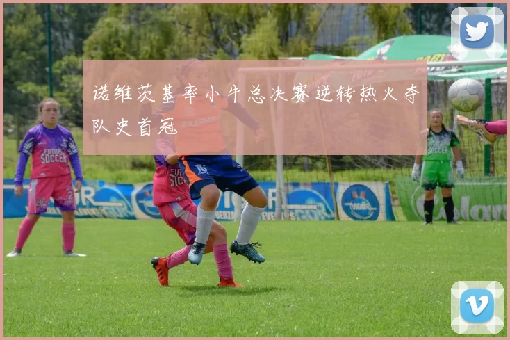 诺维茨基率小牛总决赛逆转热火夺队史首冠