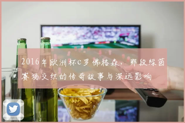 2016年欧洲杯c罗佛格森,那段绿茵赛场交织的传奇故事与深远影响