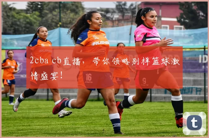 2cba cb直播,带你领略别样篮球激情盛宴!
