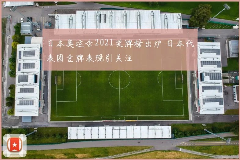 日本奥运会2021奖牌榜出炉 日本代表团金牌表现引关注