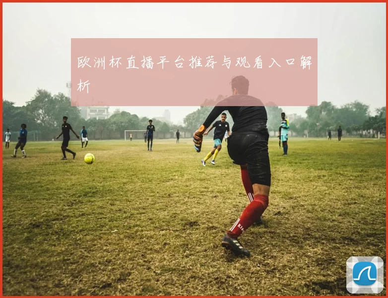 欧洲杯直播平台推荐与观看入口解析