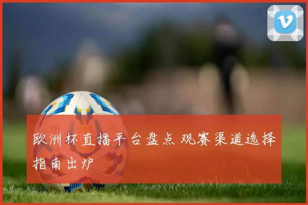 欧洲杯直播平台盘点 观赛渠道选择指南出炉
